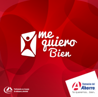 Artículo Pomocional